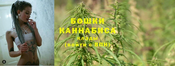 Альфа ПВП Бородино