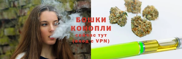 Альфа ПВП Бородино