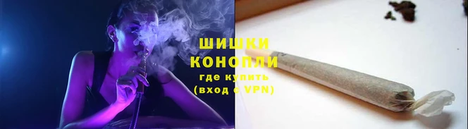 стаф Бронницы