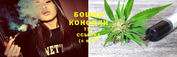 Альфа ПВП Бородино