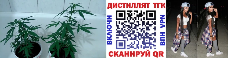 ТГК вейп  это какой сайт  Новокузнецк 